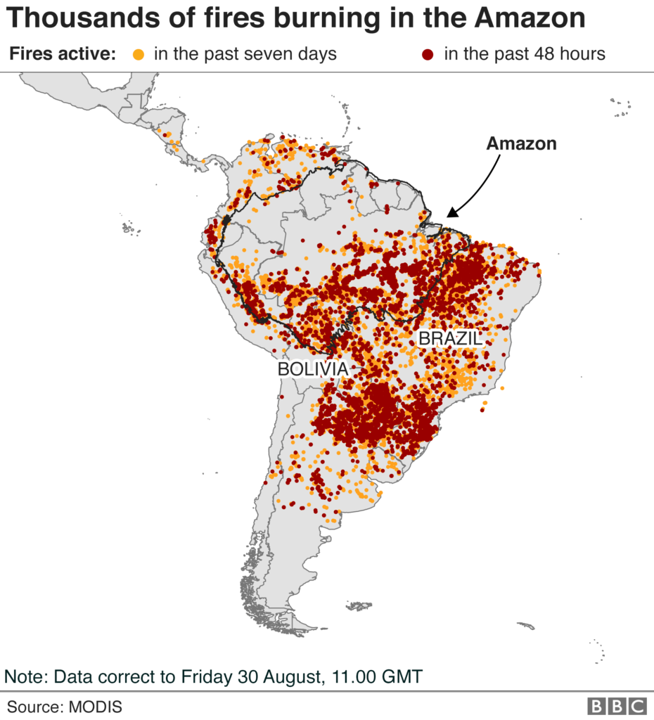 The Amazon in Brazil is on fire - how bad is it?
